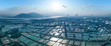 水產養(yǎng)殖專用活性炭